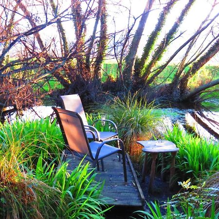 Shady Rest Bed & Breakfast Takaka Exterior photo
